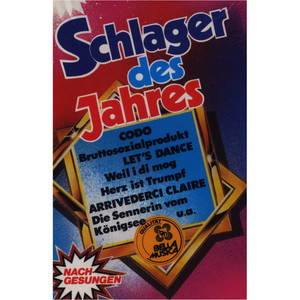 Schlager des Jahres