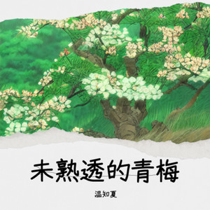 未熟透的青梅封面