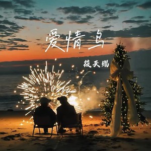 爱情鸟 (R&B)