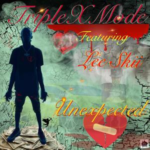 Unexpected (feat. Lee Skii) (Radio Edit)