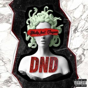 DND (feat. vvsjose) [Explicit]