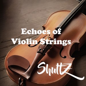 Echoes of Violin Strings