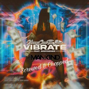 Vibrate (Screwed & Chopped) [Explicit]