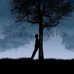 Tera Irada Kya Hai (feat. MK BHAGAT & MUSIC KKP)