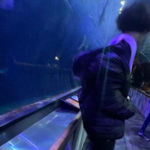 End (feat. RSX & CSM) (Explicit)