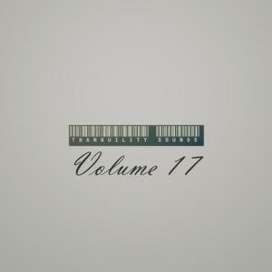 Tranquility Sounds Volume 17