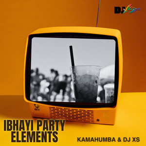 Ibhayi Party Elelments