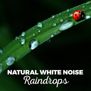 Natural White Noise: Raindrops