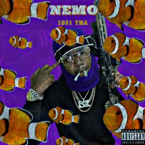 NEMO (Explicit)