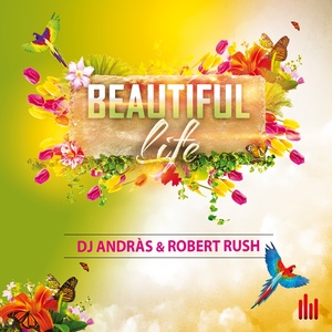 Beautiful Life (Extended Mix)
