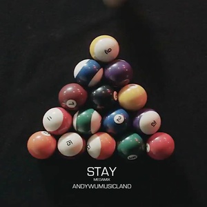 Stay (Megamix)