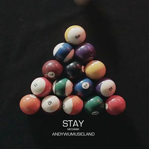 AndyWuMusicland - Stay (Megamix)