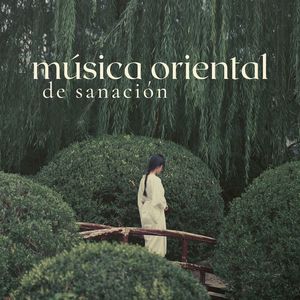 Música Oriental de Sanación: Canciones para Terapias Alternativas y Medicina Holística