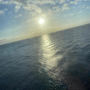 Forgotten (feat. Alara)