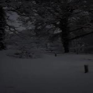 7 degrees (feat. Trippy Moe)