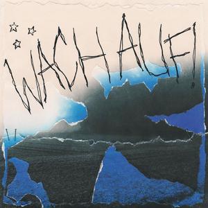 wachauf!s+r(feat. intri) (Explicit)