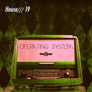 House 19