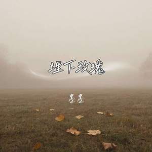 埋下玫瑰