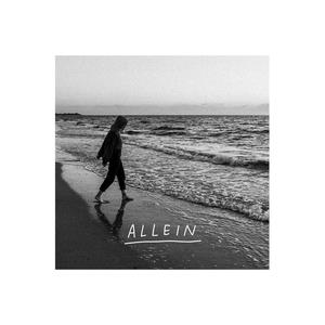 Allein (feat. Niklas Strauß)