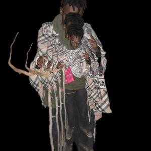 24 Franklin lexer Jr