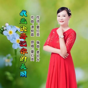 我无法忘记你的美丽