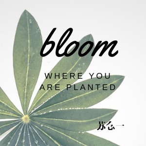 Bloom