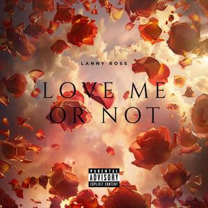 Love Me Or Not (Explicit)