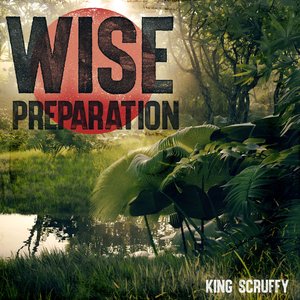 Wise Preparation Mix 2
