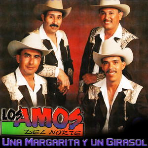 Una Margarita y un Girasol