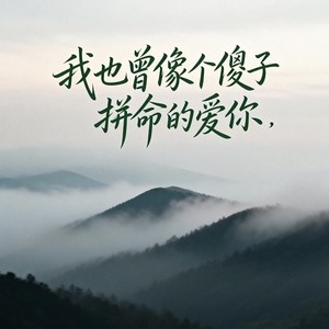 我也曾像个傻子拼命的爱你