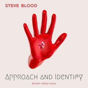 Approach and Identify (Original Mix)