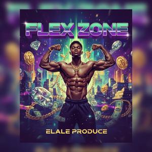 FLEX ZONE