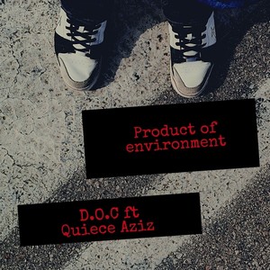 Product of Environment (feat. Quiece Aziz) [Explicit]