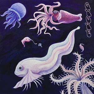 Rock Bottom // The Ethereal Snail Fish (feat. Hal Sutherland)