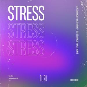 Stress (Extended Mix|DaVincis & BASTL Remix)