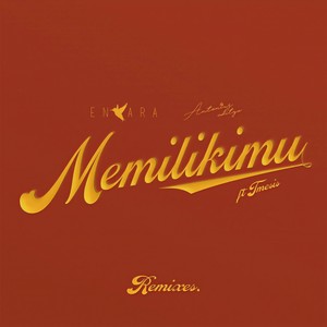 Memilikimu (Z Box Remix)