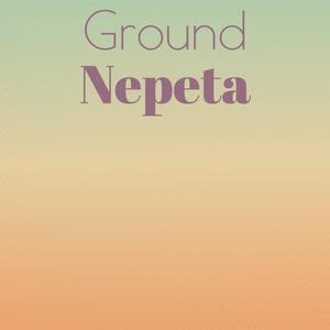 Ground Nepeta