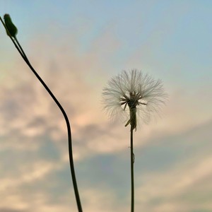 至少还有你 (Live)