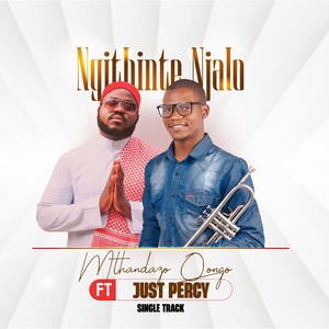 Ngithinte Njalo (feat. Just Percy)