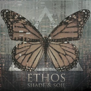 Shade & Soil