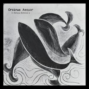 Xylem(feat. Braulio Aspe & Koke Benavides)