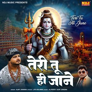 Teri Tu hi Jane
