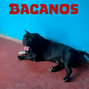 Bacanos