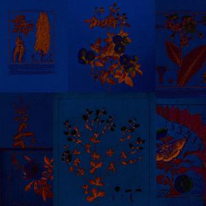 les bonhommes de neige (Explicit)