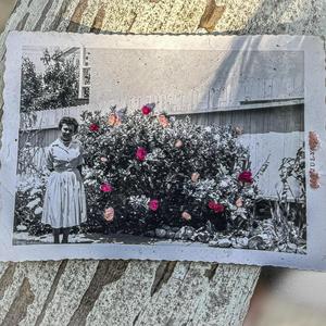 Entangled (feat. L.)