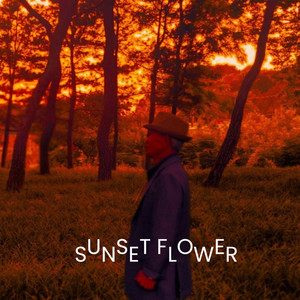 노을꽃 (부제 : 놓을꽃) (Sunset Flower)