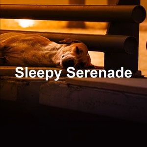 Pitter-Patter Thoughts