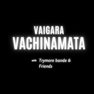 Vaigara Vachinamata (feat. Trymore Bande)