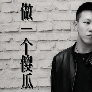 做一个傻瓜