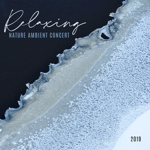 Relaxing Nature Ambient Concert 2019